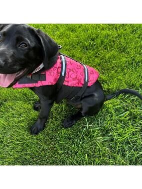 Dog Life Pink Life Vest Jacket, Size S
